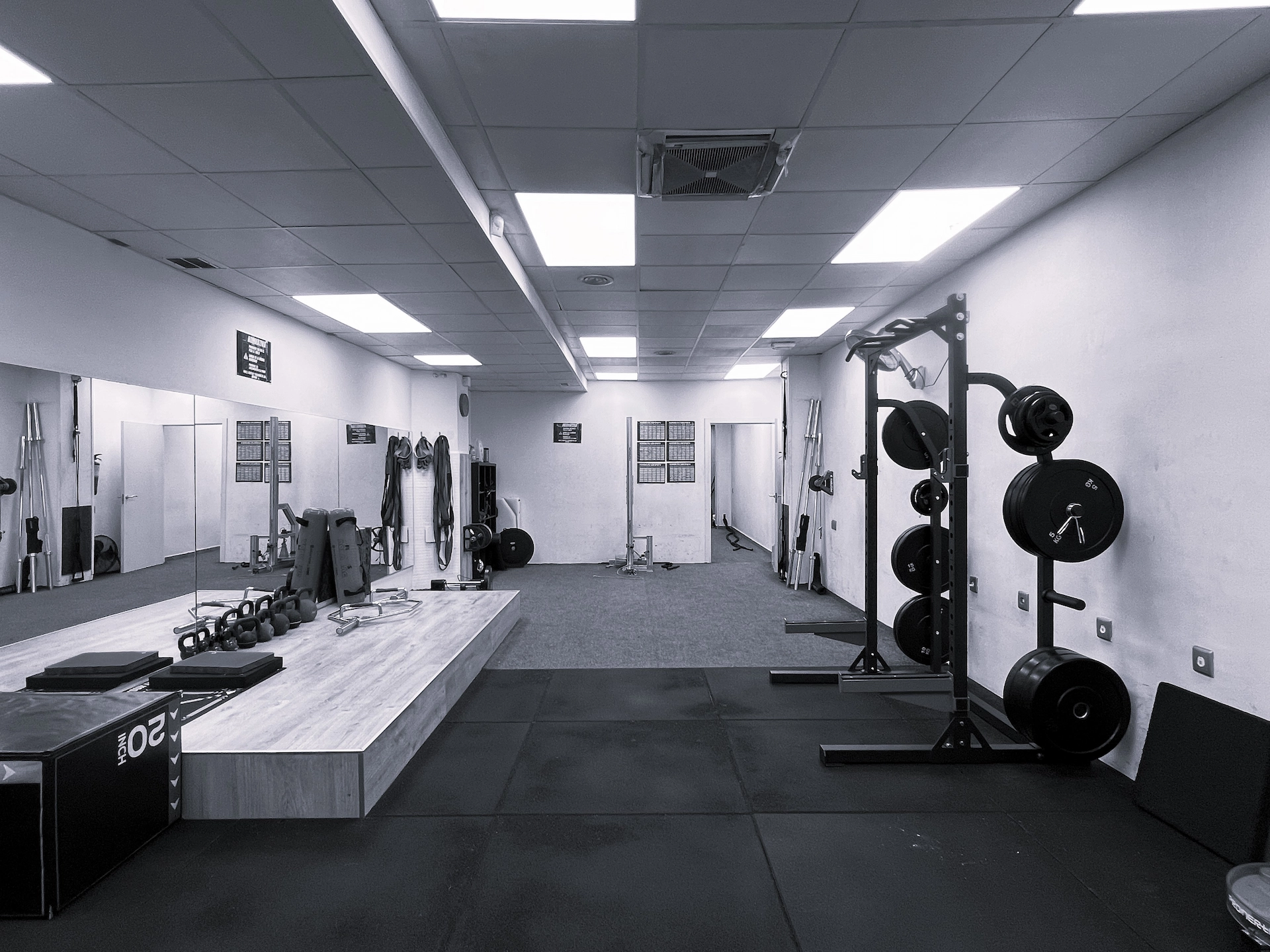 Mujer realizando ejercicio en el gimnasio